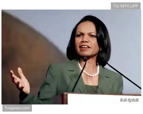 个人表现与团队成绩:赖斯的生涯评估 个人表现与团队成绩:赖斯的生涯评估